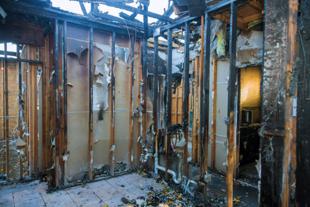 Professional Odor Removal technician working in Kensington, CT